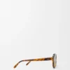 Alpha Slim sunglasses Havana Special