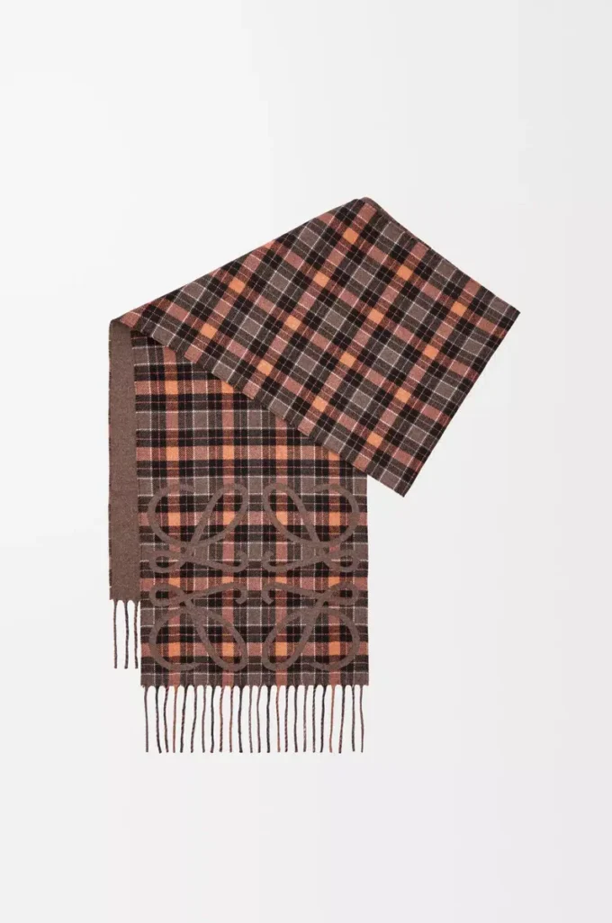 Anagram scarf in silk and cashmere Brown/Multicolor