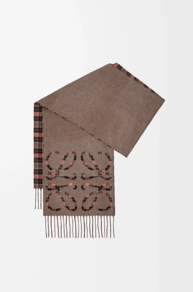 Anagram scarf in silk and cashmere Brown/Multicolor
