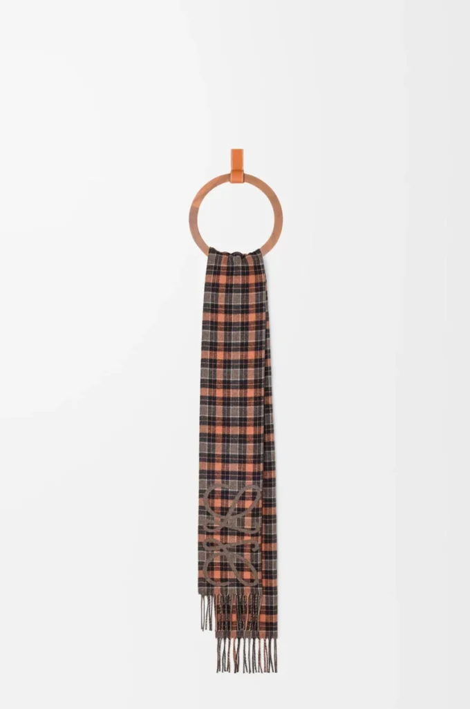 Anagram scarf in silk and cashmere Brown/Multicolor