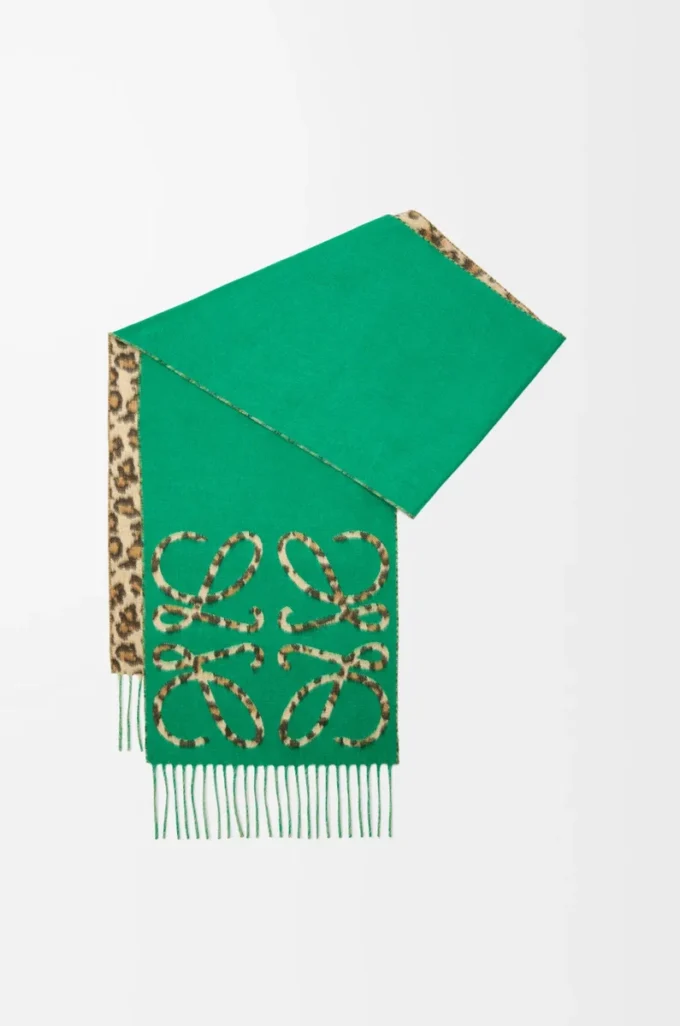 Anagram scarf in silk and cashmere Green/Multicolor