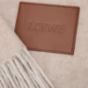 Blanket in wool and cashmere Beige/Ecru Blanket in wool and cashmere Beige/Ecru