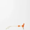 Daisy Field sunglasses Orange Daisy Field sunglasses Orange