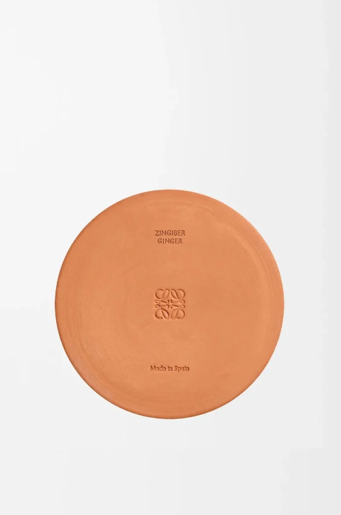 Ginger outdoor candle Orange Ginger outdoor candle Orange