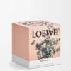Large Oregano candle White Large Oregano candle White