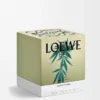 Large Scent of Marihuana candle Dark Green