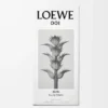 LOEWE 001 Man Eau de Toilette 50ml Colourless LOEWE 001 Man Eau de Toilette 50ml Colourless