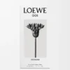 LOEWE 001 Woman Eau de Parfum 50ml Colourless LOEWE 001 Woman Eau de Parfum 50ml Colourless