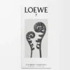 LOEWE 7 Eau de Toilette 50ml Colourless