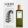 LOEWE Esencia Eau de Parfum 50ml Colourless
