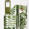 LOEWE Esencia Eau de Parfum 50ml Colourless