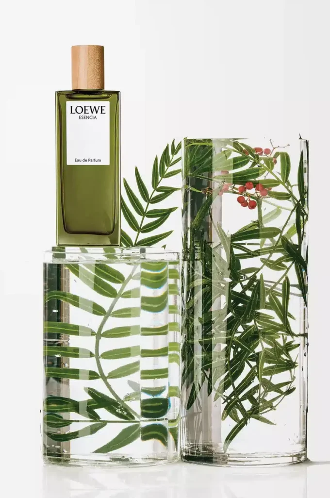 LOEWE Esencia Eau de Parfum 50ml Colourless