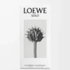 LOEWE Solo Eau de Toilette 50ml Colourless