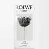 LOEWE Solo Ella Eau de Parfum 50ml Colourless LOEWE Solo Ella Eau de Parfum 50ml Colourless