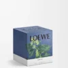 Medium Ivy candle Light Pink