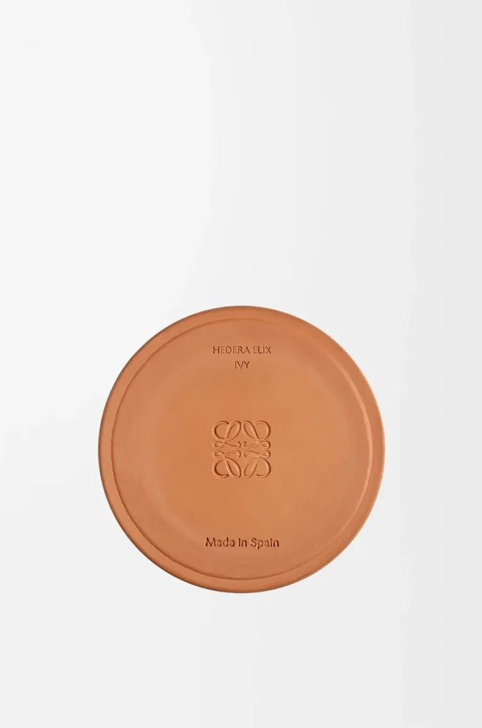 Medium Ivy candle Light Pink