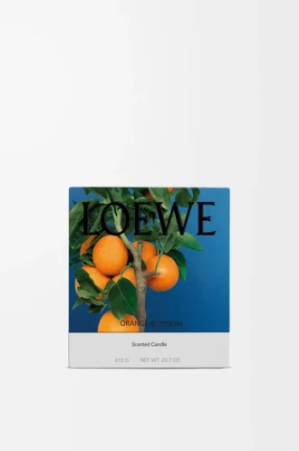 Medium Orange Blossom candle Bright Mandarin