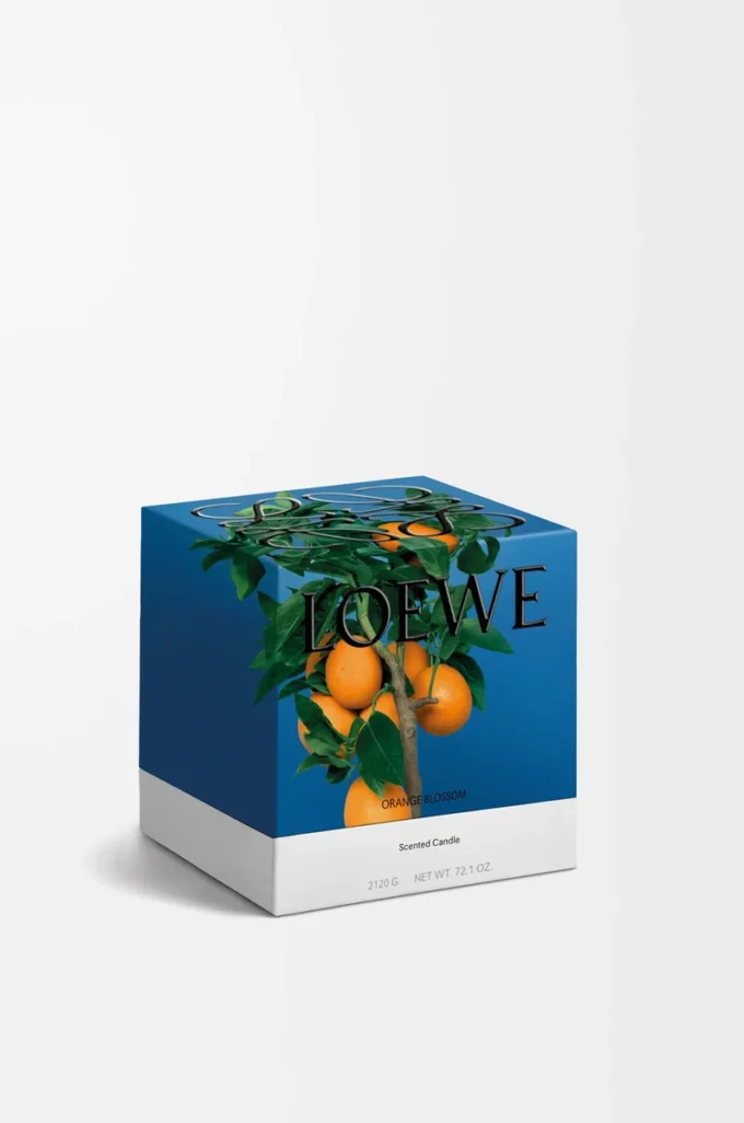 Medium Orange Blossom candle Bright Mandarin Medium Orange Blossom candle Bright Mandarin