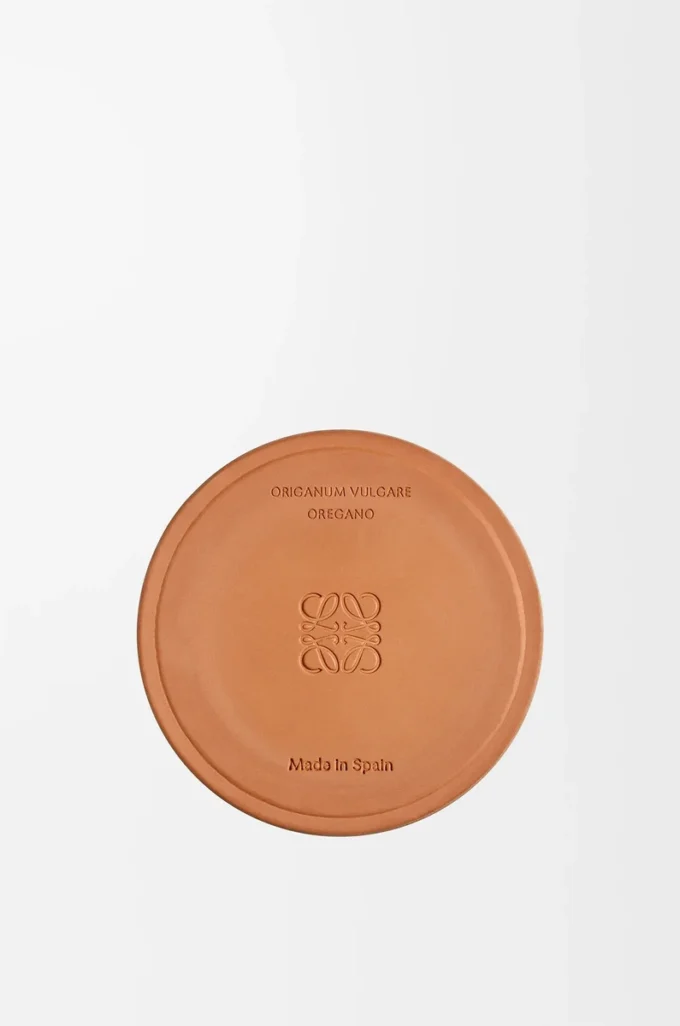 Medium Oregano candle White