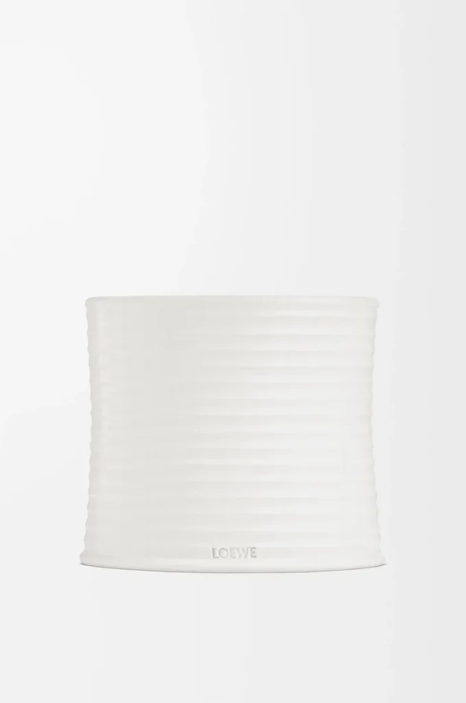 Medium Oregano candle White