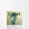 Medium Scent of Marihuana candle Dark Green Medium Scent of Marihuana candle Dark Green