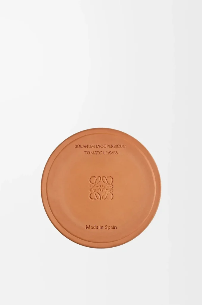 Medium Tomato Leaves candle Red