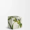 Midi Black Sesame scented candle Silver Midi Black Sesame scented candle Silver