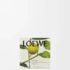 Midi Earl Grey scented candle Gold Midi Earl Grey scented candle Gold