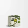 Midi Earl Grey scented candle Gold Midi Earl Grey scented candle Gold