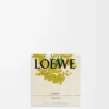 Mimosa scented candle Yellow/Tan Mimosa scented candle Yellow/Tan