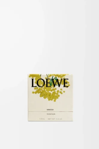 Mimosa scented candle Yellow/Tan