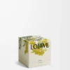 Mimosa scented candle Yellow/Tan Mimosa scented candle Yellow/Tan