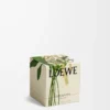 Orchid scented candle Black Orchid scented candle Black