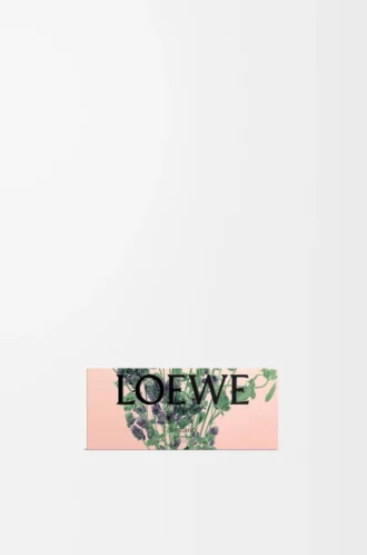 Oregano large bar soap Colourless
