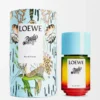 Paula's Ibiza Eau de Toilette 50ml Colourless