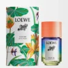 Paula's Ibiza Eclectic Eau de Toilette 50ml Colourless