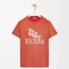 Regular fit T-shirt in cotton Orange Regular fit T-shirt in cotton Orange