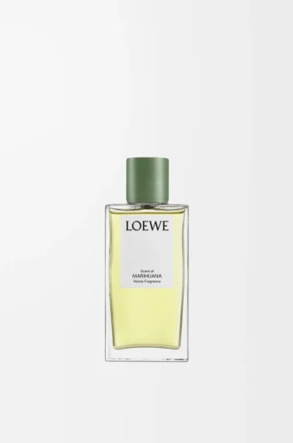 Scent of Marihuana room spray Dark Green