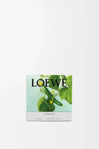Small Cucumber candle Light Green