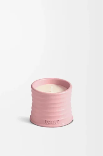Small Ivy candle Light Pink