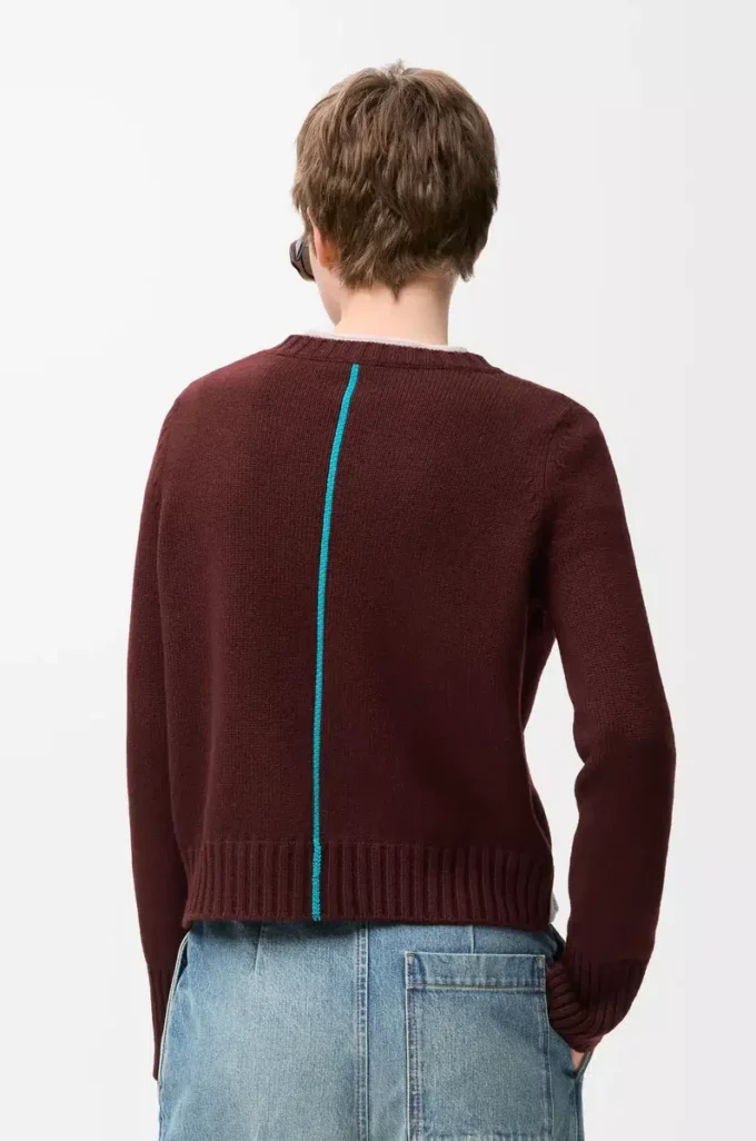Sweater in cashmere Burgundy/Multicolor Sweater in cashmere Burgundy/Multicolor