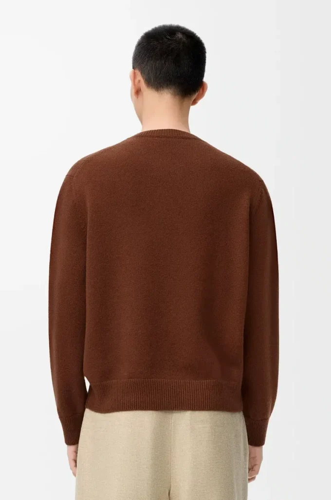 Sweater in wool Brown