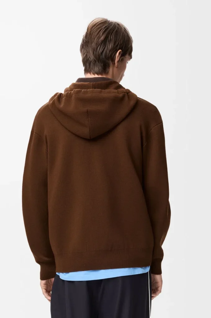Zip-up hoodie in wool Brown